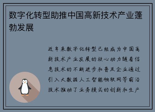 数字化转型助推中国高新技术产业蓬勃发展